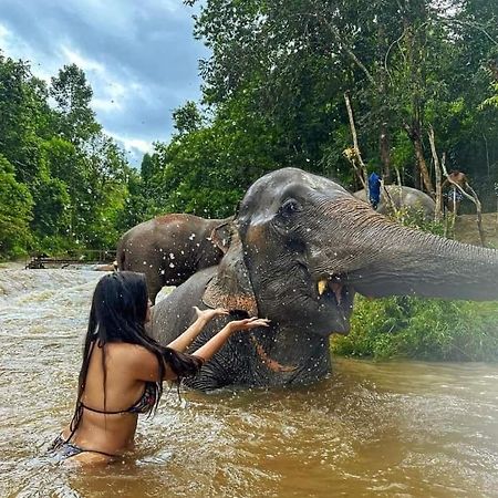 Wild Park Safari Home Stay Удавалаве Екстериор снимка