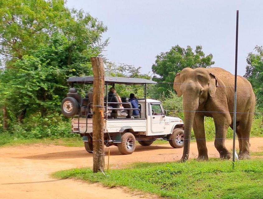 Wild Park Safari Home Stay Удавалаве Екстериор снимка