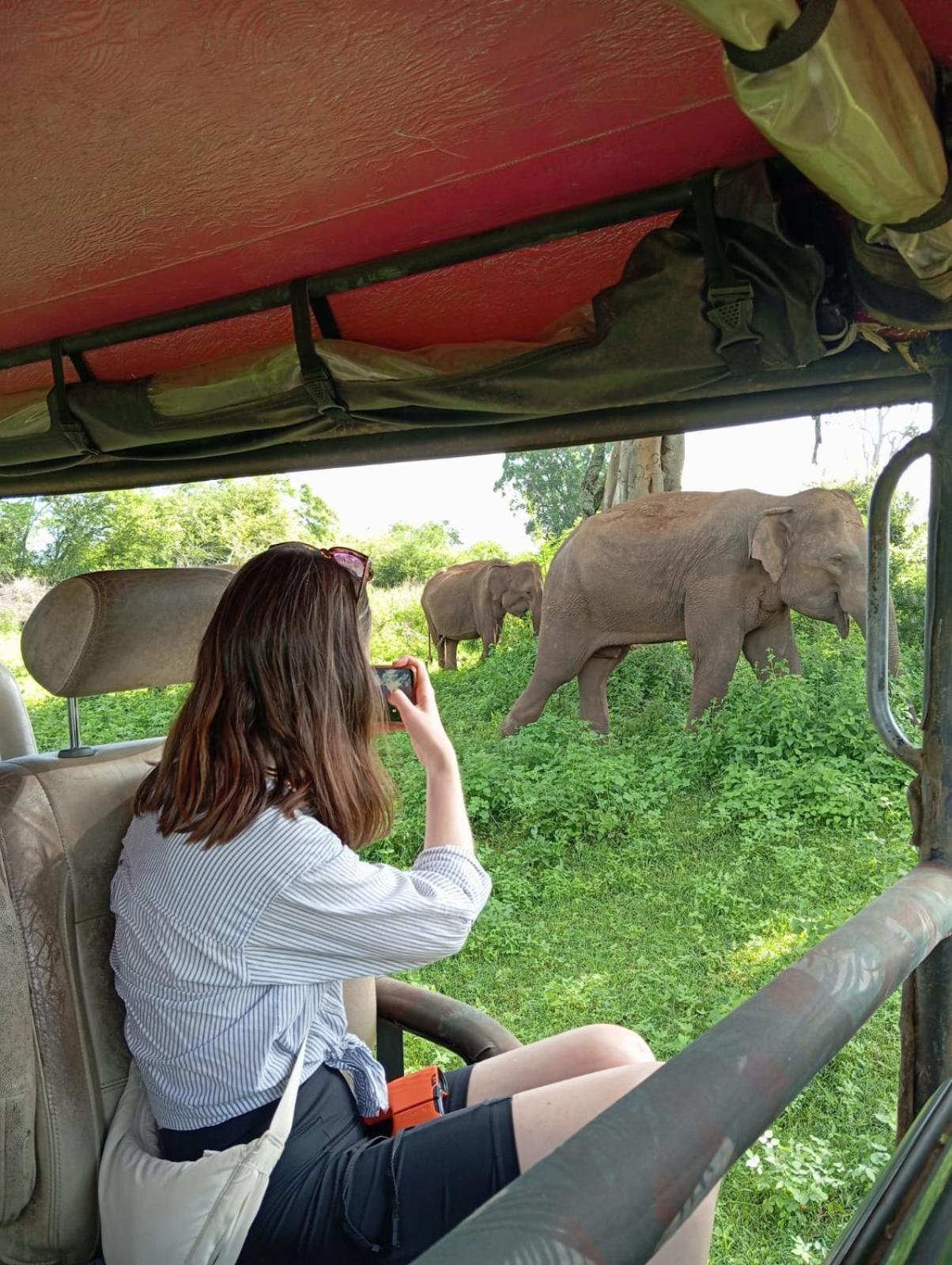 Wild Park Safari Home Stay Удавалаве Екстериор снимка