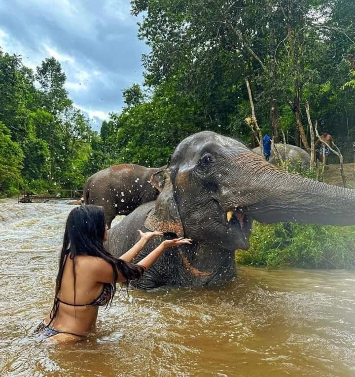 Wild Park Safari Home Stay Удавалаве Екстериор снимка