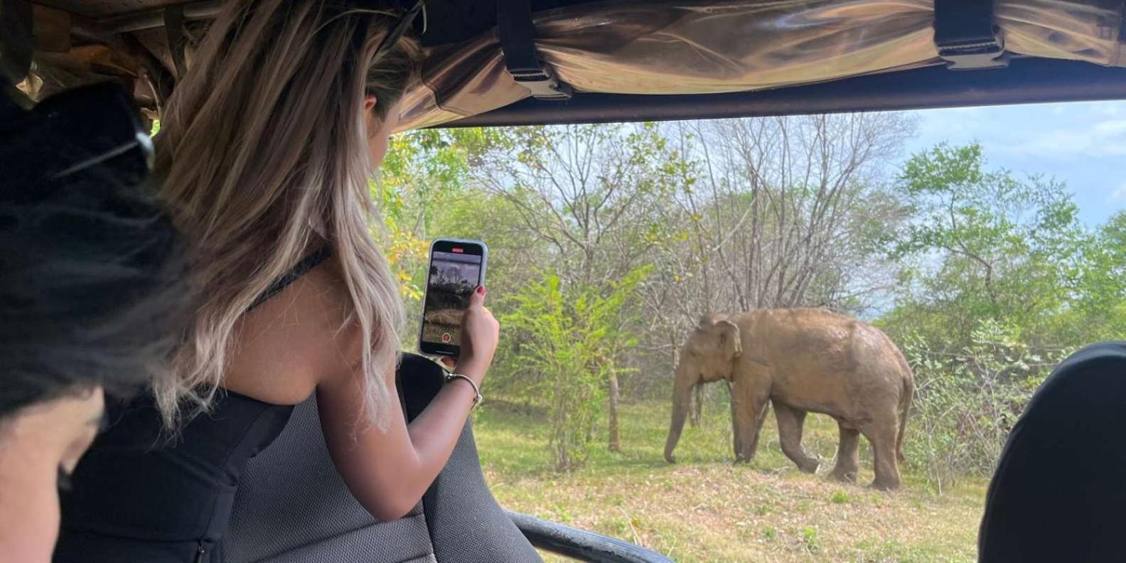Wild Park Safari Home Stay Удавалаве Екстериор снимка