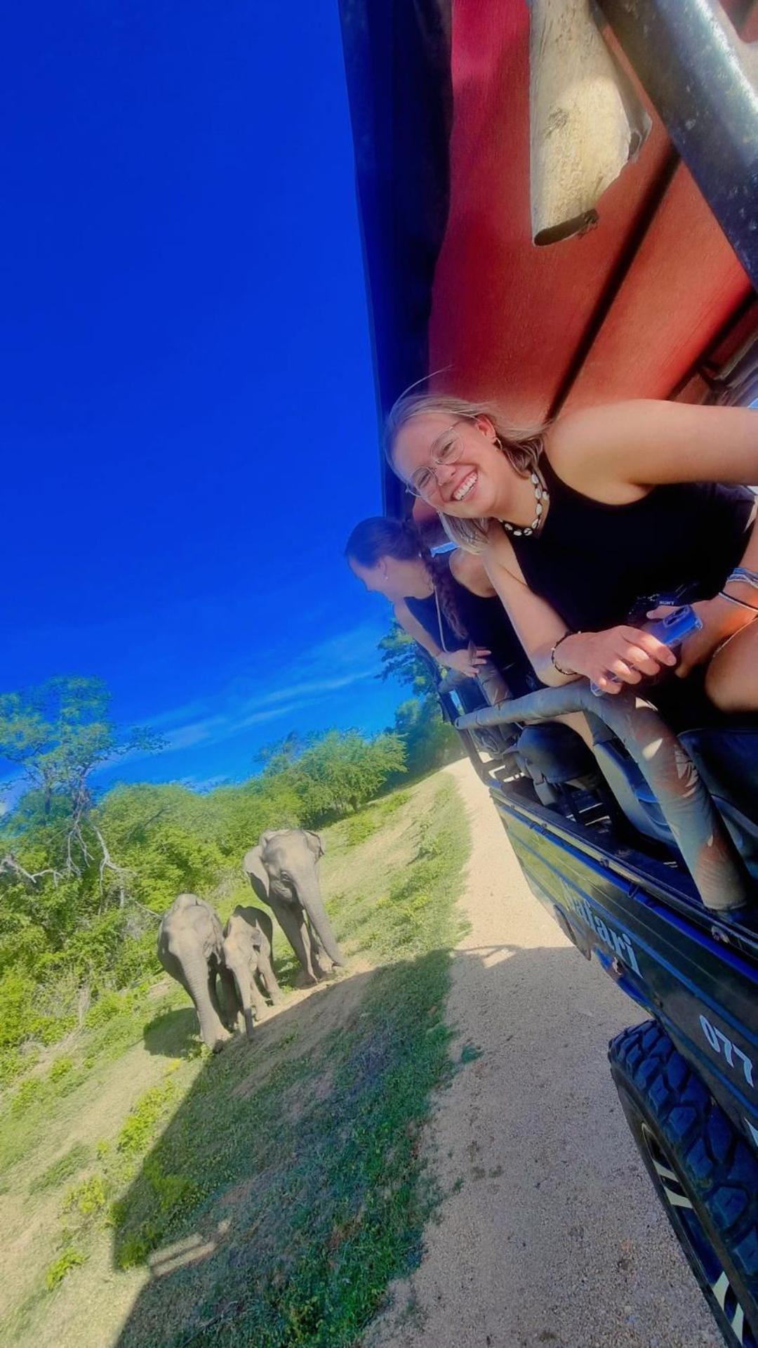 Wild Park Safari Home Stay Удавалаве Екстериор снимка